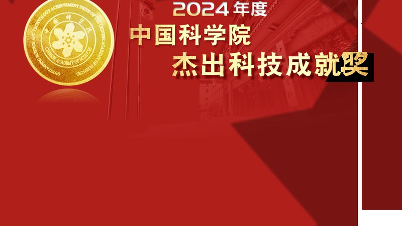企业搜索系统：价格背后的考量因素