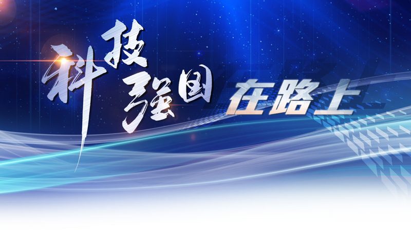 知识图谱搜索引擎：揭秘其价格背后的价值与考量